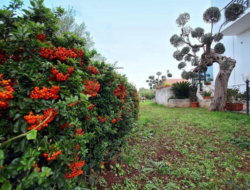 B&B Villa Ernestina Castellana Grotte Exterior foto